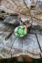 Load image into Gallery viewer, Classic #5 - Size 1.42 x 1.34"